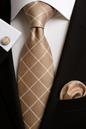 Andrew Lloyd 100% Silk Tie – Champagne Grid