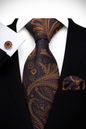 Andrew Lloyd 100% Silk Tie – Royal Black Paisley with Copper Accents